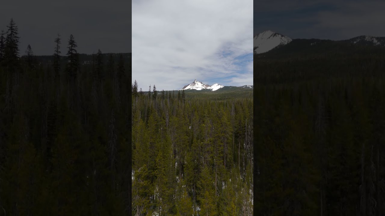 From the quiet of the forest to the majesty of the mountains 🌲🏔️