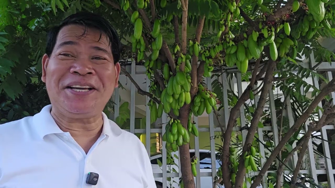 Gusto po ba ninyo na maging hitik at na magbunga ang inyong tanim na KAMIAS? Panoorin po ninyo iyo