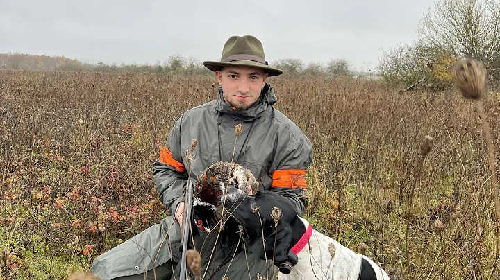 Chasse au Pointer Anglais de 9 a 11 Mois !!