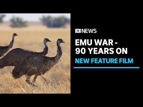 Australia's emu war set to be recognised in feature film | abc news