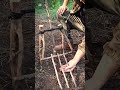 How to make a trap  #survival #wildliferescue #animaltrap #bushcraft #birdtrap #camping #pestcontrol