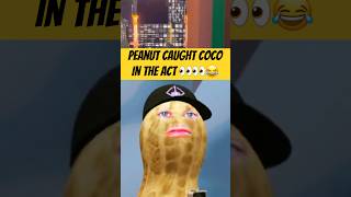 Peanut Caught Coco In The Act
