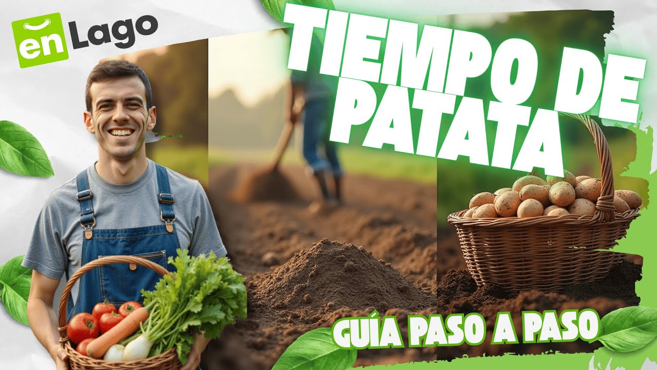 Cómo Sembrar Patatas Paso a Paso 🥔 | Consejos de DICIEMBRE para Preparar tu Huerto
