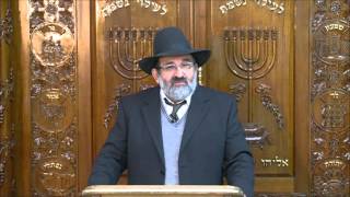RAV ELIAHOU ZINI, ROCH YECHIVA OR VISHUA HAIFA