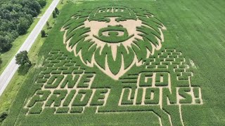 Drone video captures Dan Campbell-inspired Detroit Lions corn maze in Webberville