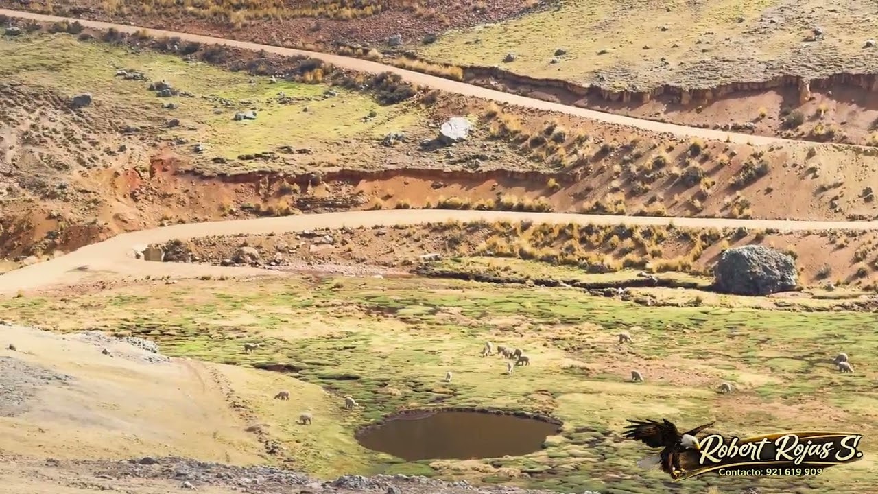 PACCURUNTA APAMUY-ROBERT ROJAS SERRANO