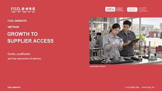 Vietnam Market Insights: Turning Growth into Supplier Access