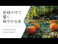 【新緑と水音】爽やかなアコースティックギター│Calm & Refresh Acoustic BGM