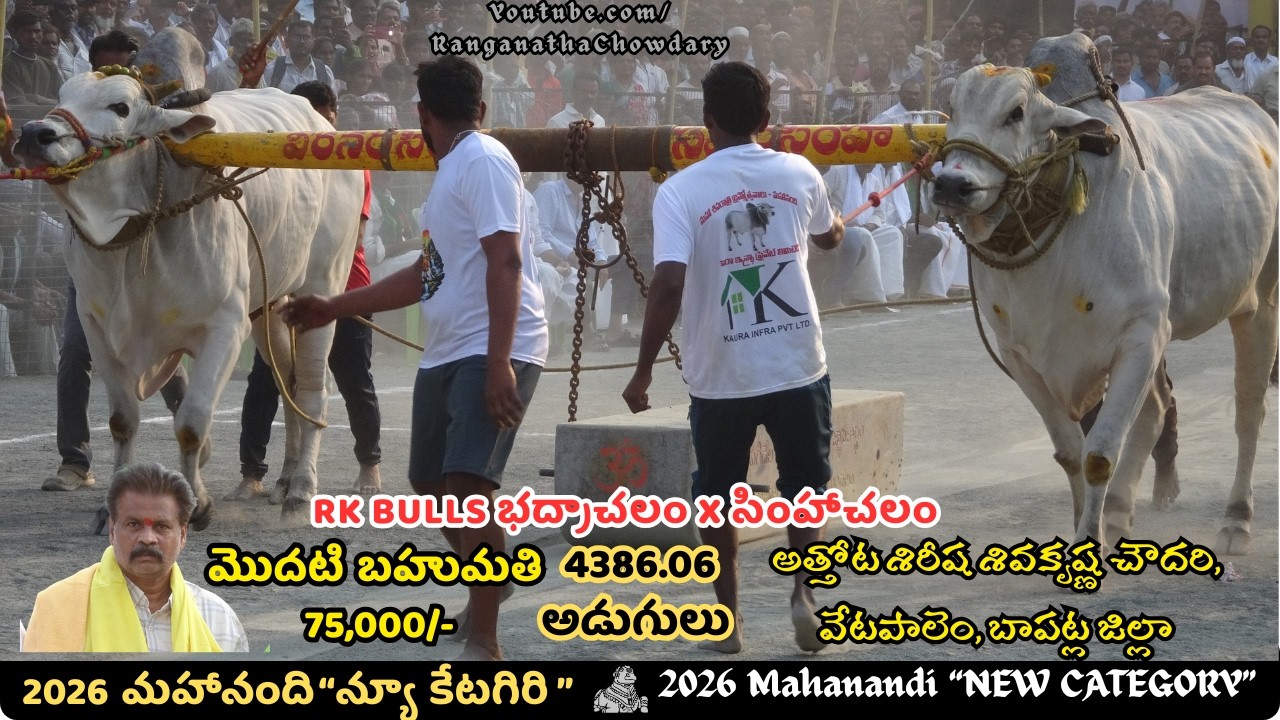 2026 #mahanandi NewCategory #ongolebullsshow 1st Prize Rs.75000/- Won By RKBULLS, Vetapalem