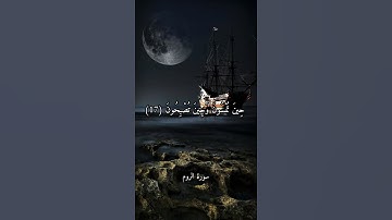 وَيَوْمَ تَقُومُ السَّاعَةُ يَوْمَئِذٍ  - علي جابر - سورة الروم .#سبحان_الله #استغفر_الله