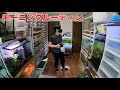 170匹の生物を飼う会社員のモーニングルーティン