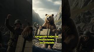 El oso que luchó en la Segunda Guerra Mundial 🐻⚔️ El oso que luchó en la Segunda Guerra Mundial 🐻⚔️