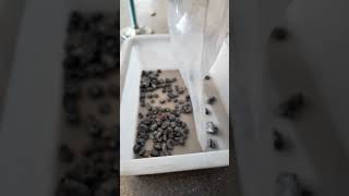 The color sorter quickly separates copper and aluminum fragments #machine #ricecolorsortermachine