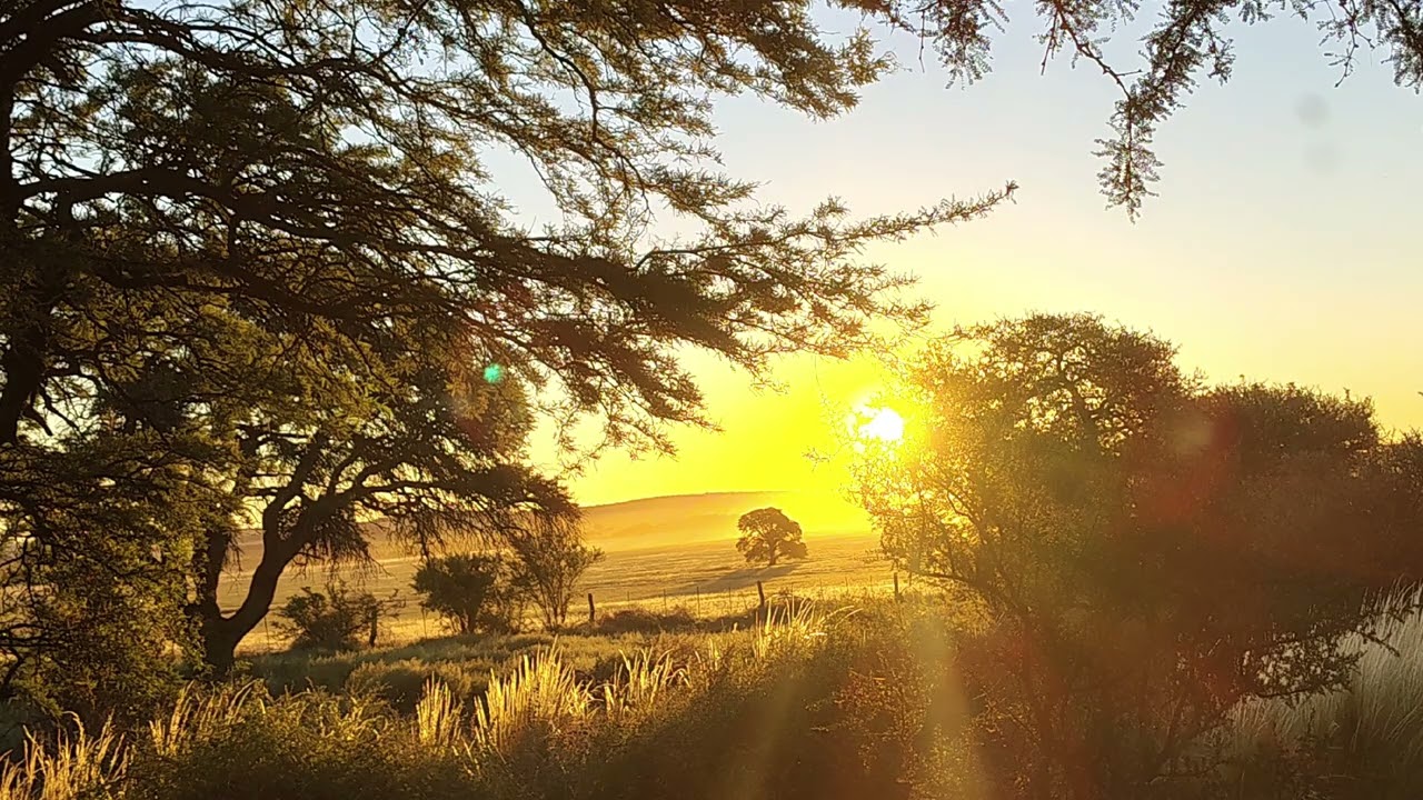  LoFi for Studying & Relaxing | Pampa Golden Sunset 🌅 LoFi para estudiar O trabajar | SESSION 1