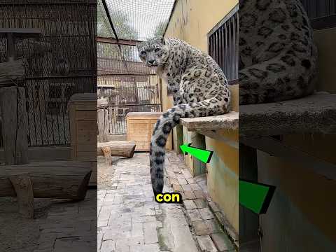 Câu Chuyện Khiến Ai Cũng Phải Rơi Nước Mắt 🥺 thumbnail