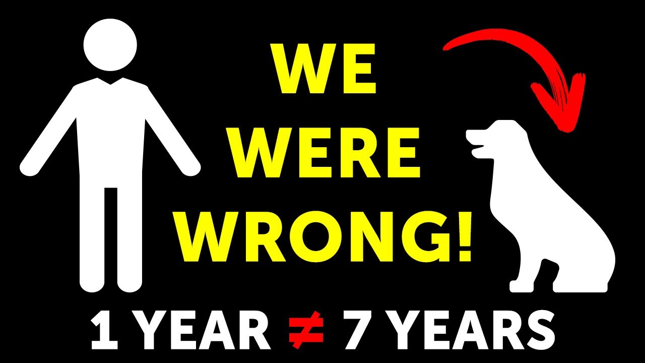 Dog Year Isn’t 7 Human Years and 14 Truths over Myths