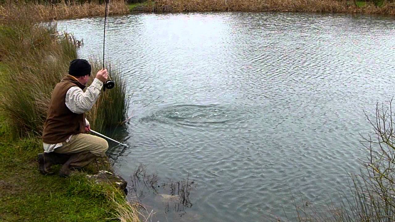 Stillwater Trout fishing in Dorset YouTube