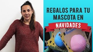 Regalos De Navidad Para Tu Mascota | Ideas Para Perros Y Gatos