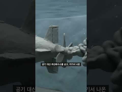 핵잠수함 논쟁, 우리 잠수함이 숨어 있다가도 대롱을 물 위로 내미는 이유