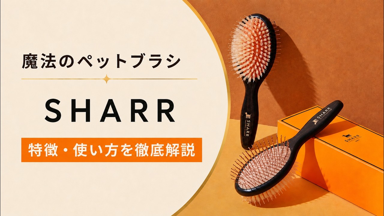 商品説明】魔法のペットブラシSHARR ｜NENE's store - YouTube