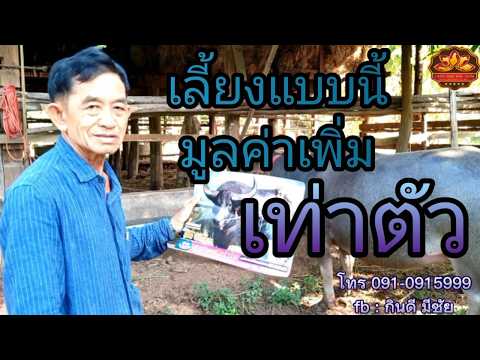 กินดี มีชัย #อาหารเสริมสัตว์ (สนใจสั่งซื้อได้ที่เบอร์ 091-091-5999)