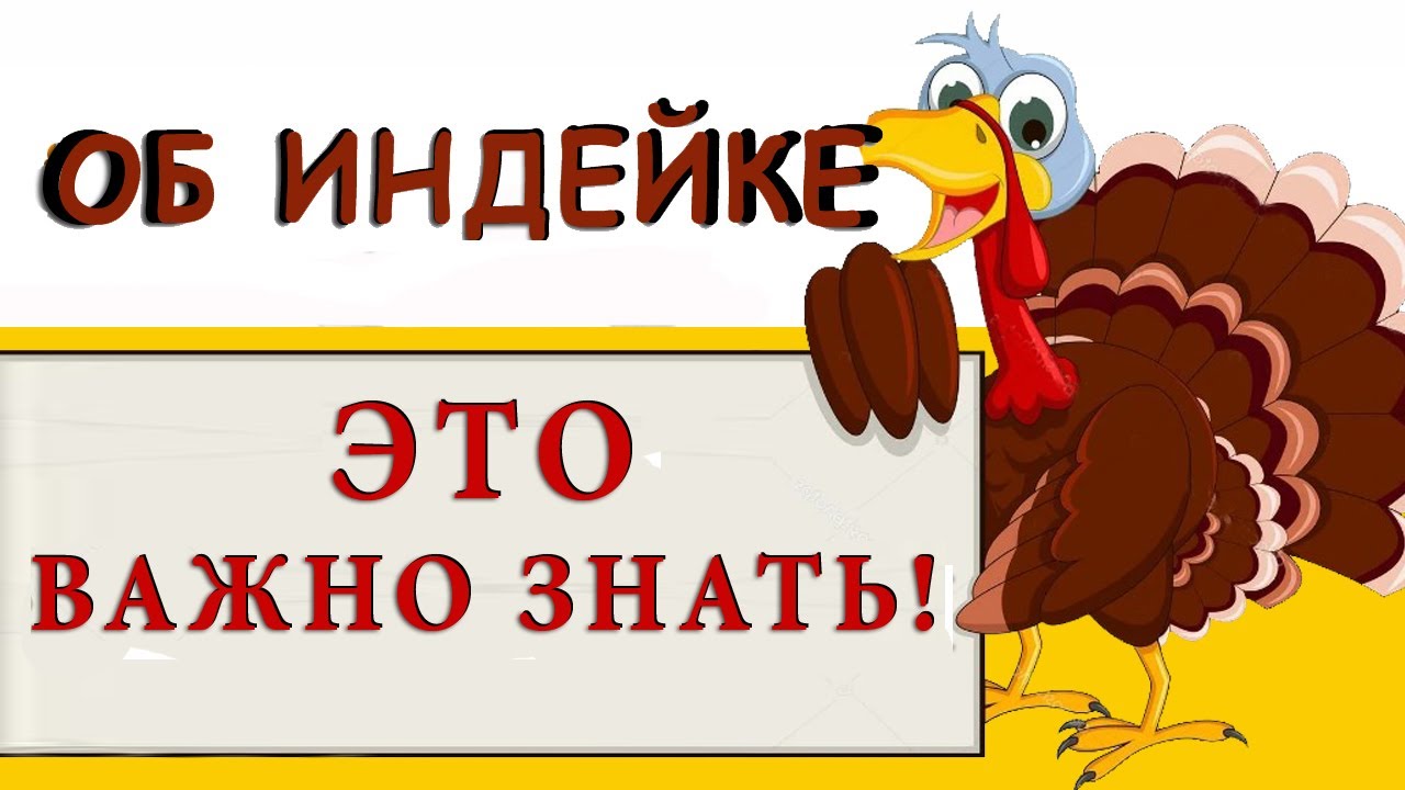 👆почему птица поносит? Как определить по цвету помета, от чего заболели ...