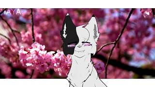 Animation Memecatch Menew Oc