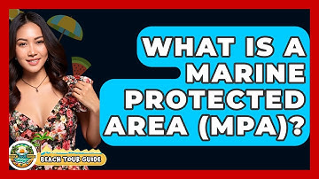 What Is A Marine Protected Area (MPA)? - Beach Tour Guide