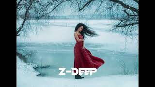 Z-Deep - In The End