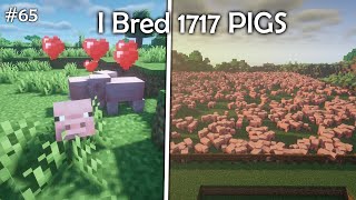 I Bred 1717 PIGS In Minecraft Survival | Mr MaXus Minecraft screenshot 4