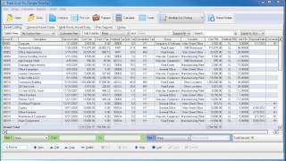 Introduction to the Flex View in Fixed Asset Pro
