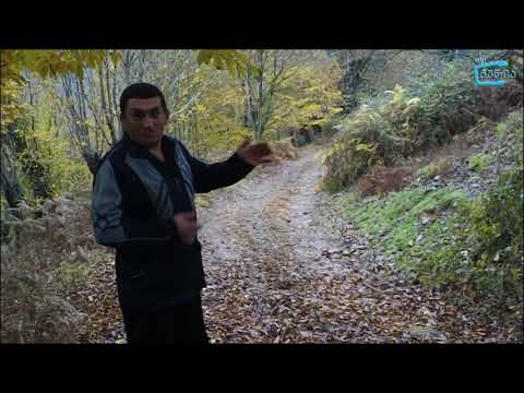 სოფელ ძიმითის მოსახლეობა შიდა გზების რეაბილიტაციას ითხოვს