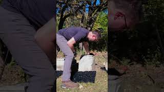 Repairing An Obelisk
Repairing this obelisk is no small feat, but I’m up to the task! 🏗️ Repairing An Obelisk