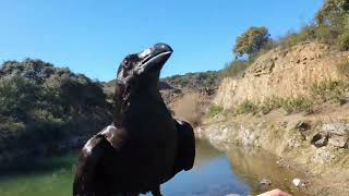 Un día más de campo y baño con el buen tiempo