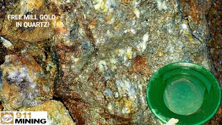 Removing High Grade Gold Ore From Gold Quartz Vein & Panning For Gold!
