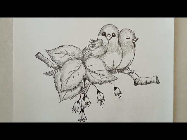Bird Sketches(バード・スケッチズ) Birds from My Sketchbook Bird Sketches(バード・スケッチズ) Birds from My Sketchbook