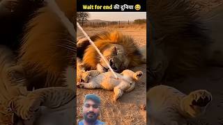 जानवरों के ऐसे कारनामे कि हंसी नहीं रुकेगी #funny​ #comedy​ #viralvideo​  #animalcomedy​ #funny​