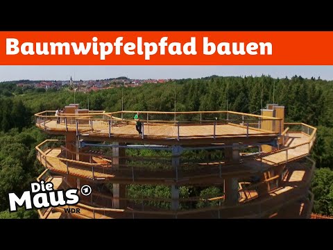 Video: Bau eines Bades aus Baumstämmen