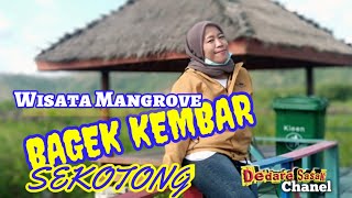 Download Lagu Dedare Sasak Keliling Lombok kunjungi Wisata Mangrove BAGEK KEMBAR Sekotong Lombok Barat MP3
