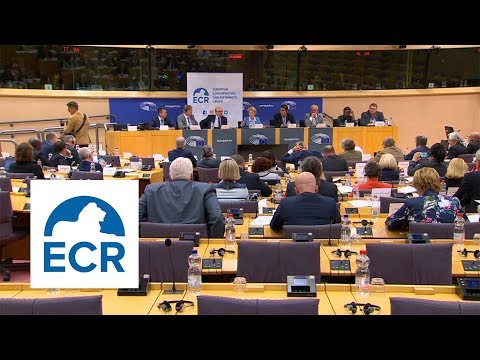 Parliamentary Groups: European Conservatives and Reformists