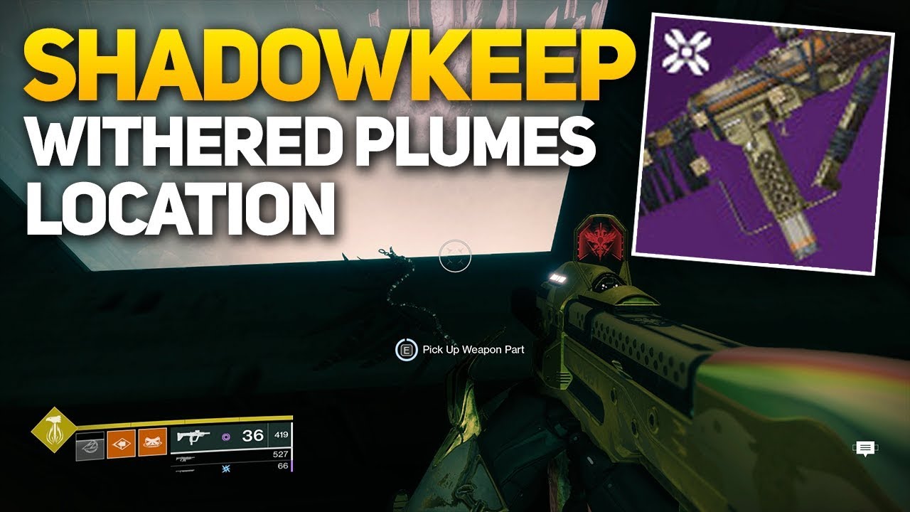 Destiny 2 Withered Plumes