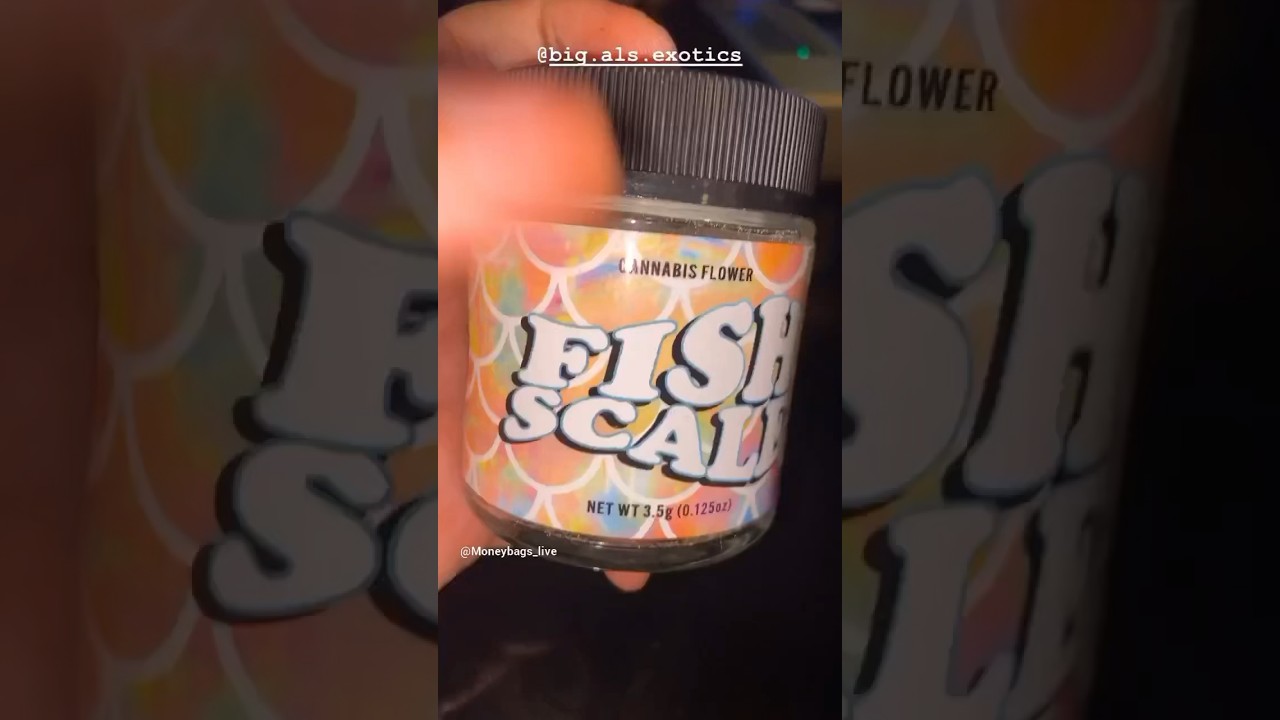 Fish Scale by Big Al’s Exotics - Strain Review 🐠