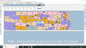 Richpeace Garment CAD V10.0--Set The Piece Cut Order