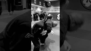 To-Shin Do Free Response Training #ToShinDo #quest
