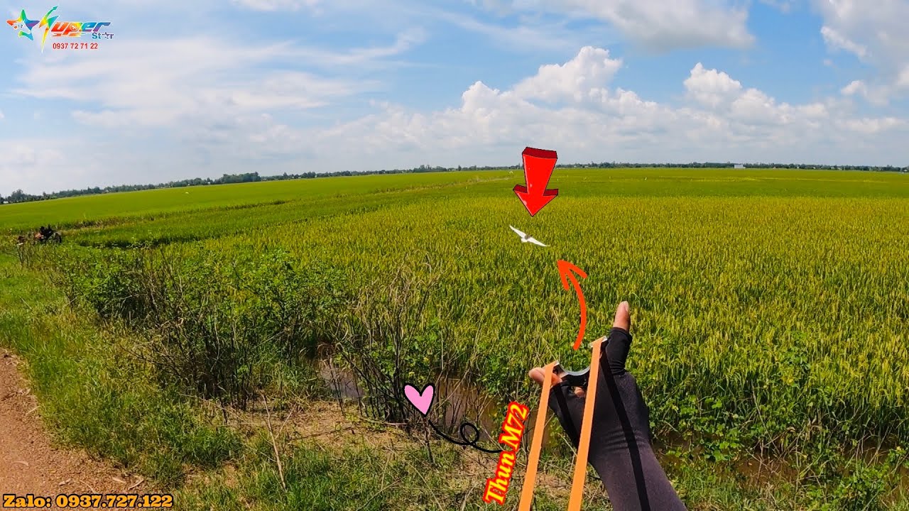 Mét 72 Mà Bem Cò Bay Thì Mồi Lo Mà Lai Rai || Slingshot for hunting flying birds