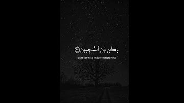 سوره الحجر بصوت الشيخ ياسر الدوسري 