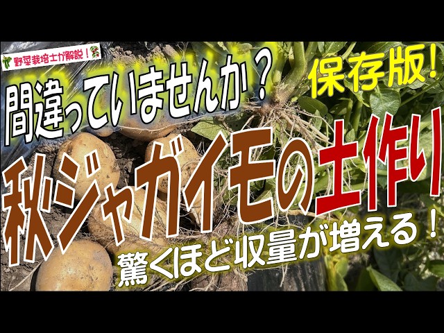 Do not apply fertilizer in January when growing potatoes in a home