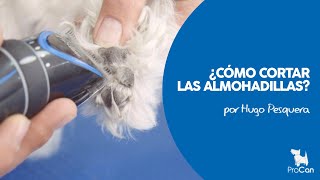 COMO CORTAR EL PELO DE LAS ALMOHADILLAS