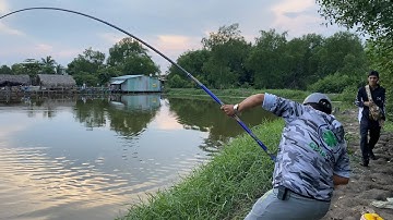 CÂU CÁ TRA PHONG CÁCH BẠO LỰC | NGÀY CUỐI TEST CẦN VÔ CỰC CẨU CÁ CỰC PHÊ