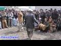 Local hareep of yasin valley performing  by gharaz  partyyasinidance